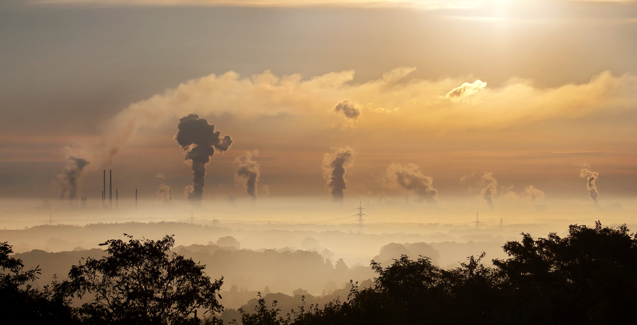 Professors call for more research into climate-change related threats to civilization